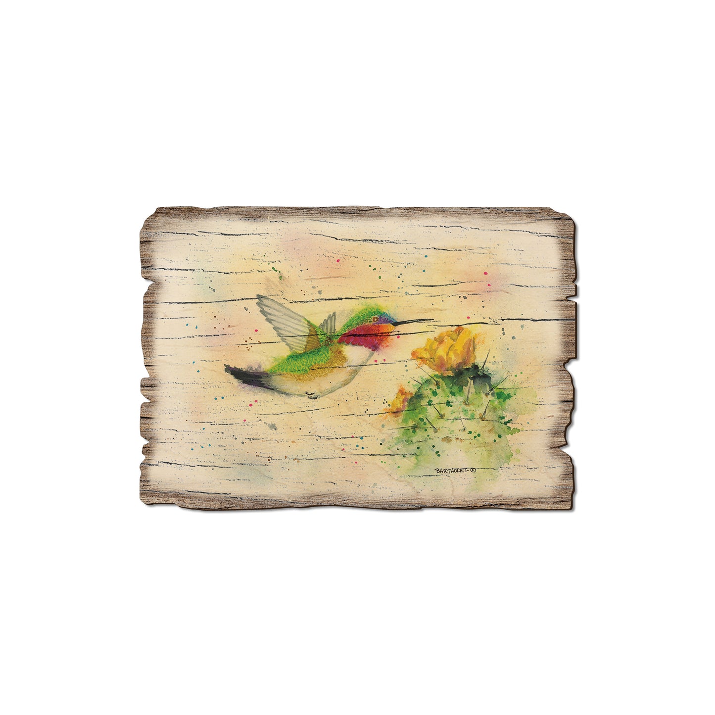 Bartholet's Cactus Flyby - Rustic Edge Postcards & Magnets Rustic Edge Magnet (5pk // $2.80ea)