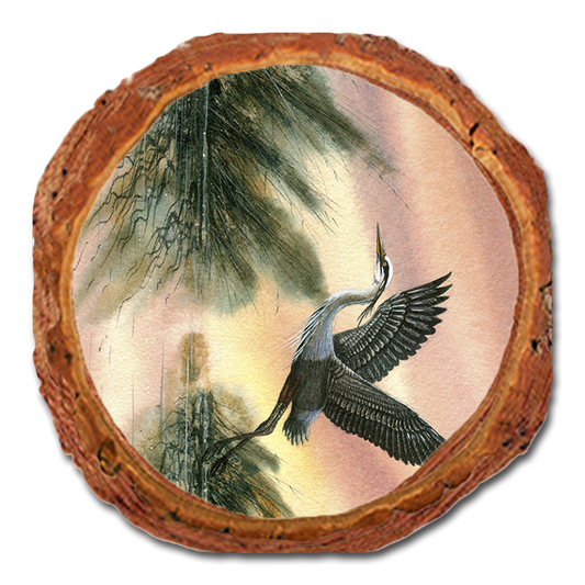 Coaster: Live Edge - Bartholet's Cool Of The Morning (Pack of 5)