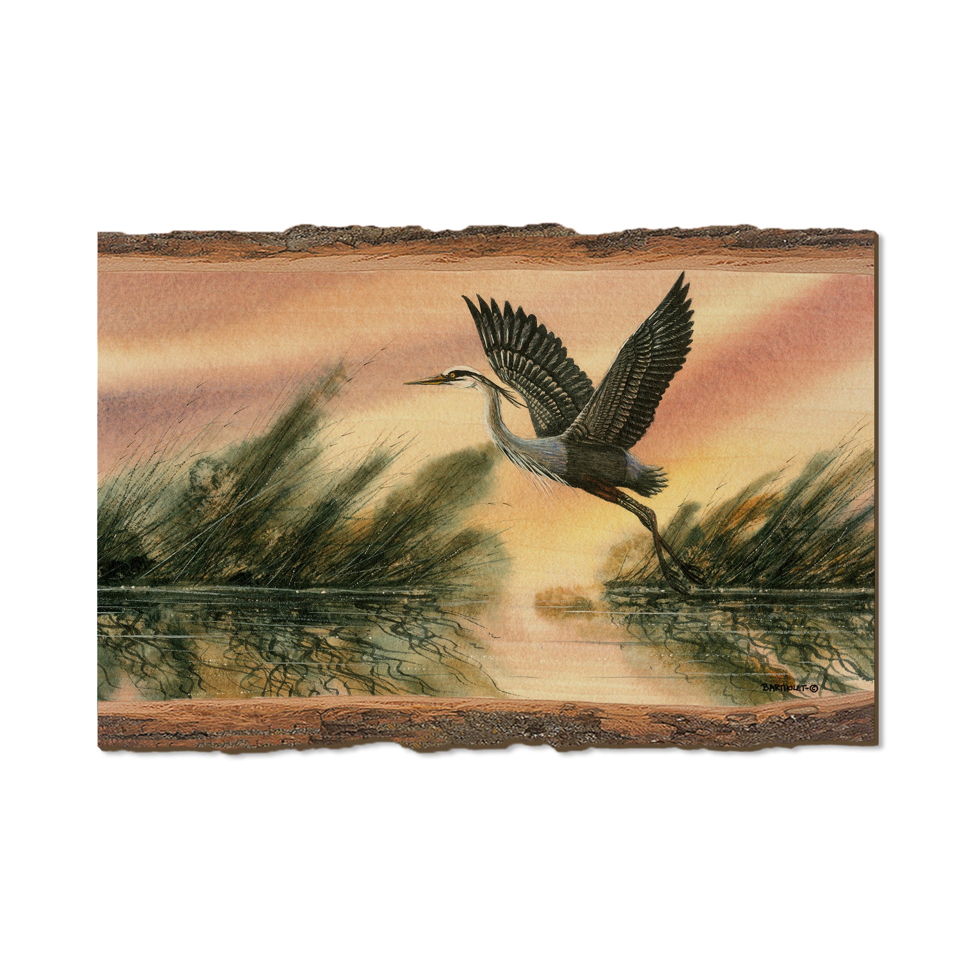 Bartholet's Cool Of The Morning  - Live Edge Live Edge Postcard (5pk // $2.80ea)