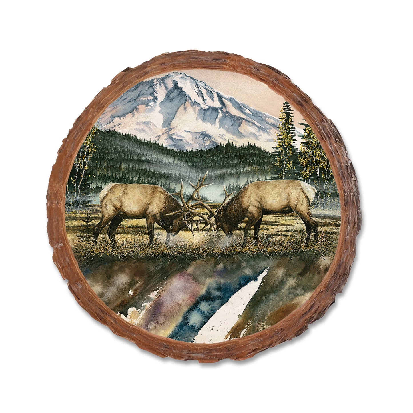 Bartholet's Clash Of The Titan  - Live Edge Live Edge Coaster (5pk // $2.80ea)