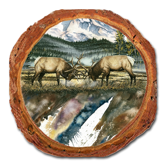 Coaster: Live Edge - Bartholet's Clash Of The Titan (Pack of 5)