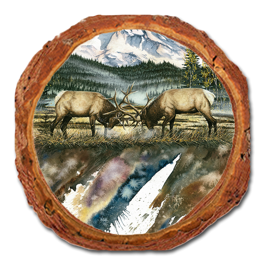 Coaster: Live Edge - Bartholet's Clash Of The Titan (Pack of 5)