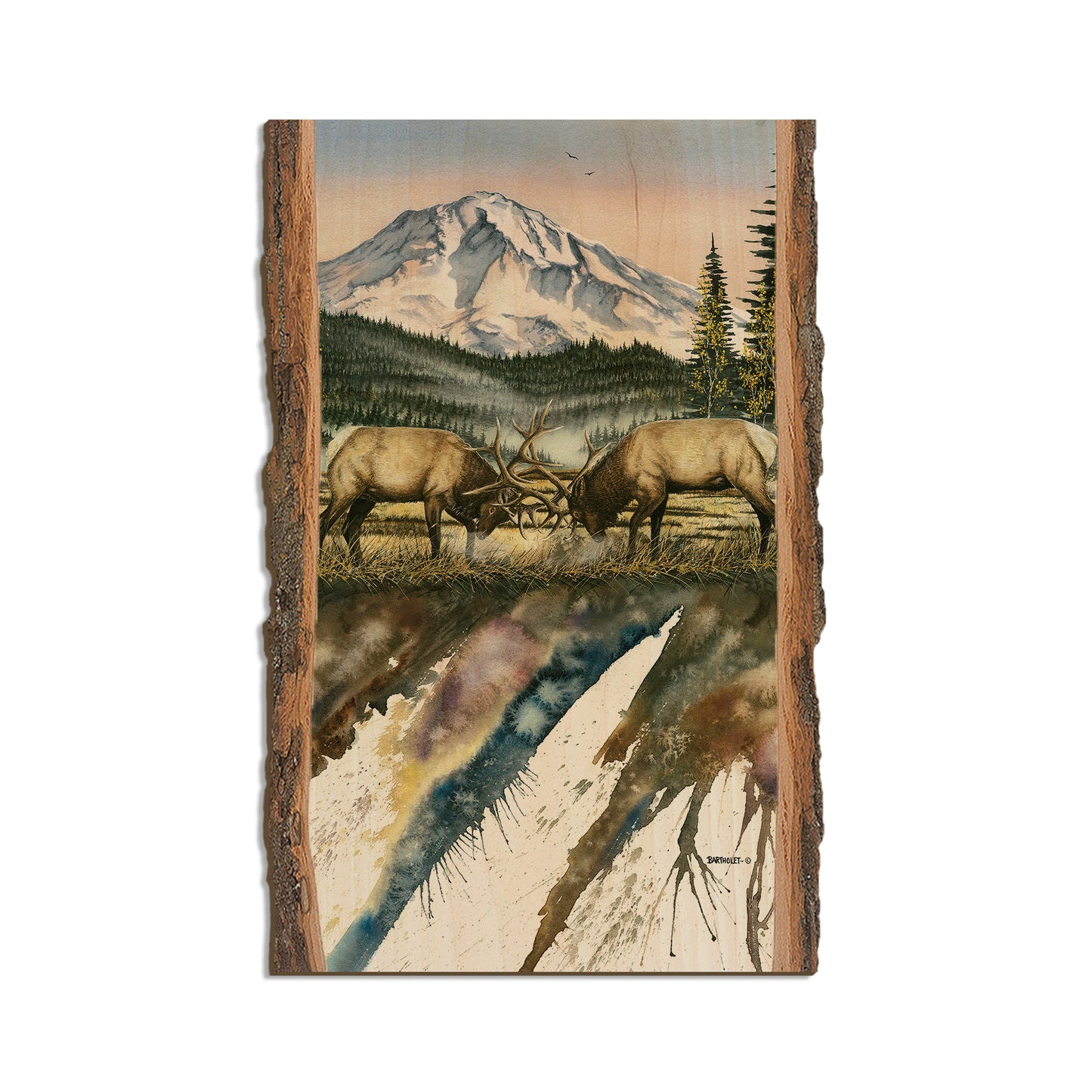 Bartholet's Clash Of The Titan  - Live Edge Live Edge Magnet (5pk // $2.80ea)