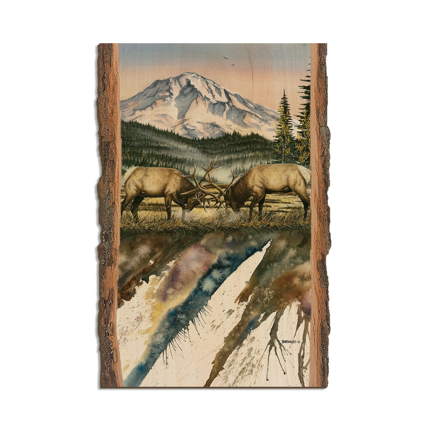 Bartholet's Clash Of The Titan  - Live Edge Live Edge Postcard (5pk // $2.80ea)