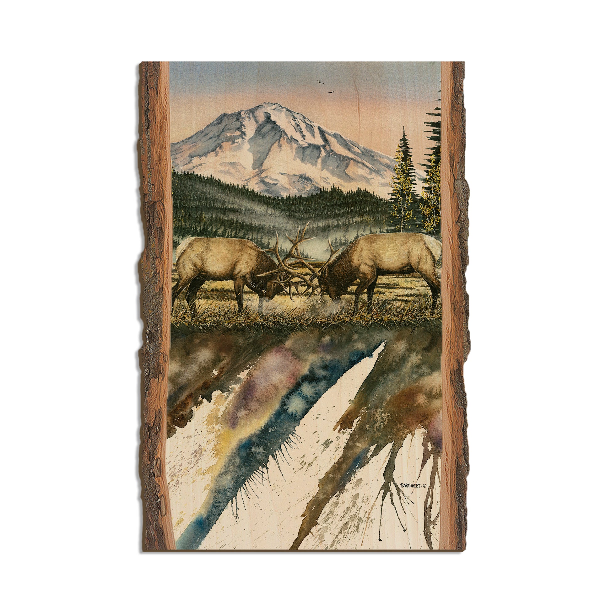 Bartholet's Clash Of The Titan  - Live Edge Live Edge Postcard (5pk // $2.80ea)
