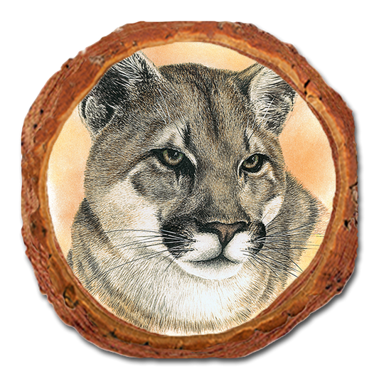 Coaster: Live Edge - Bartholet's Cougar (Pack of 5)