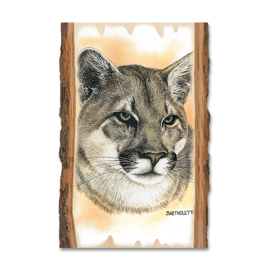 Magnet: Live Edge - Bartholet's Cougar
