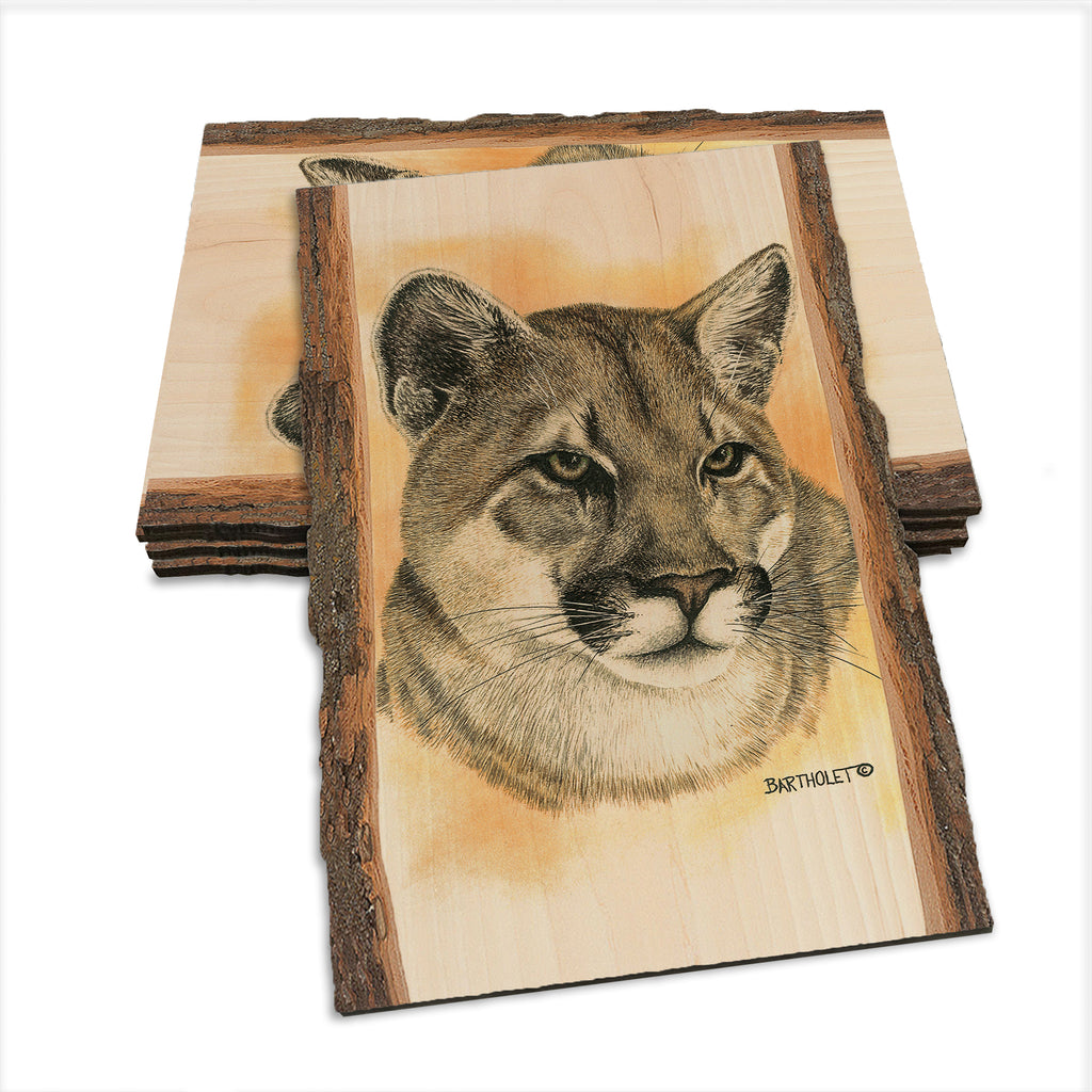 Bartholet's Cougar  - Live Edge Live Edge Postcard (5pk // $2.80ea)