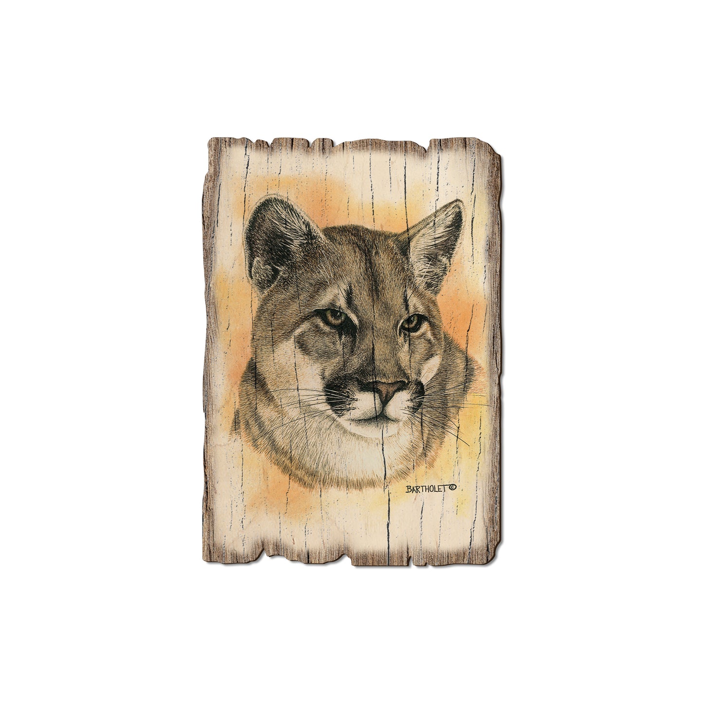 Bartholet's Cougar - Rustic Edge Postcards & Magnets Rustic Edge Magnet (5pk // $2.80ea)