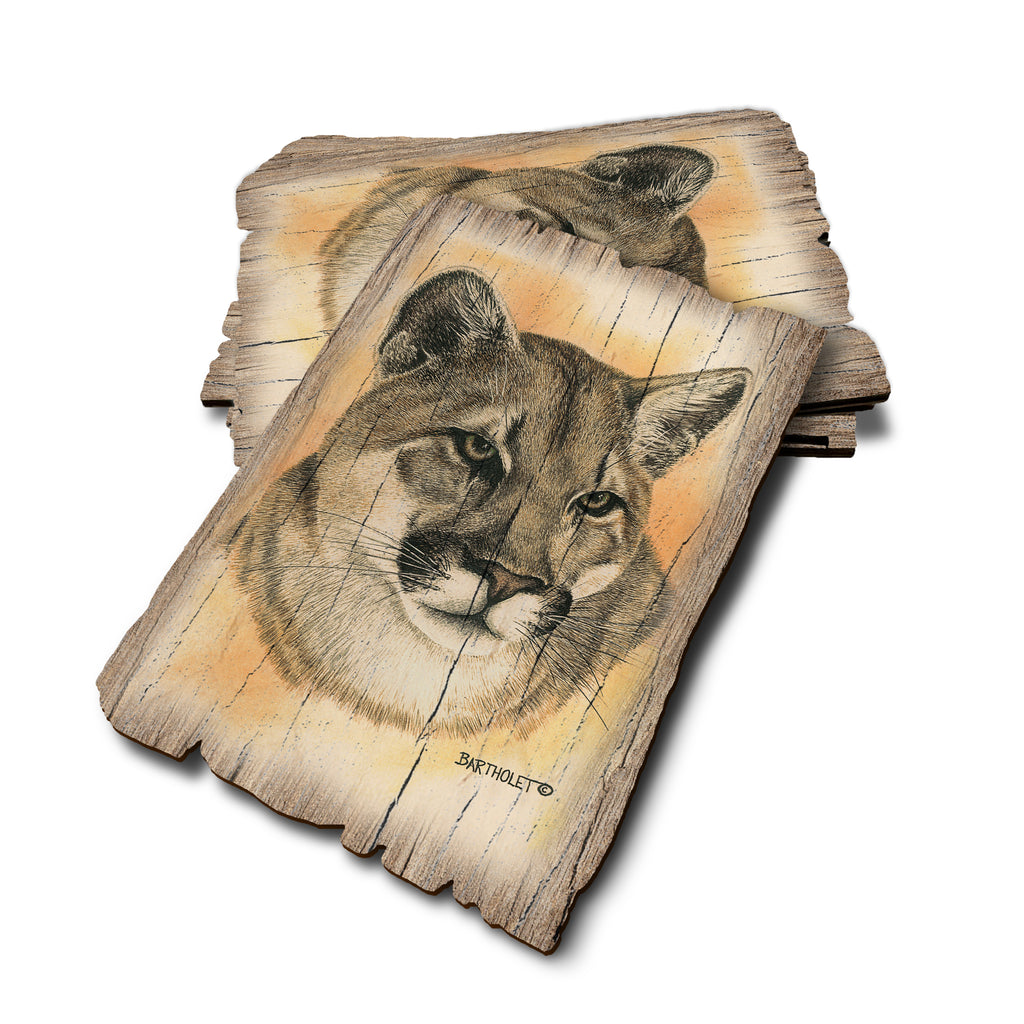 Bartholet's Cougar - Weathered Edge Rustic Edge Postcard (5pk // $2.80ea)