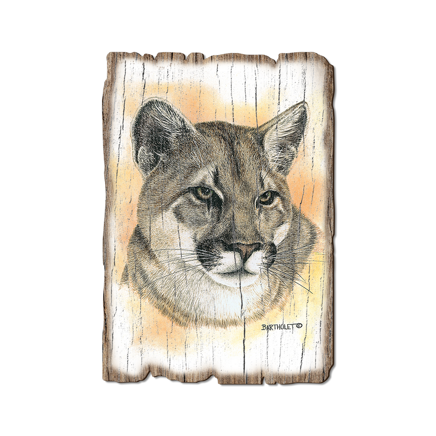 Greeting Card: Weathered Edge - Bartholet's Cougar (Pack of 5)