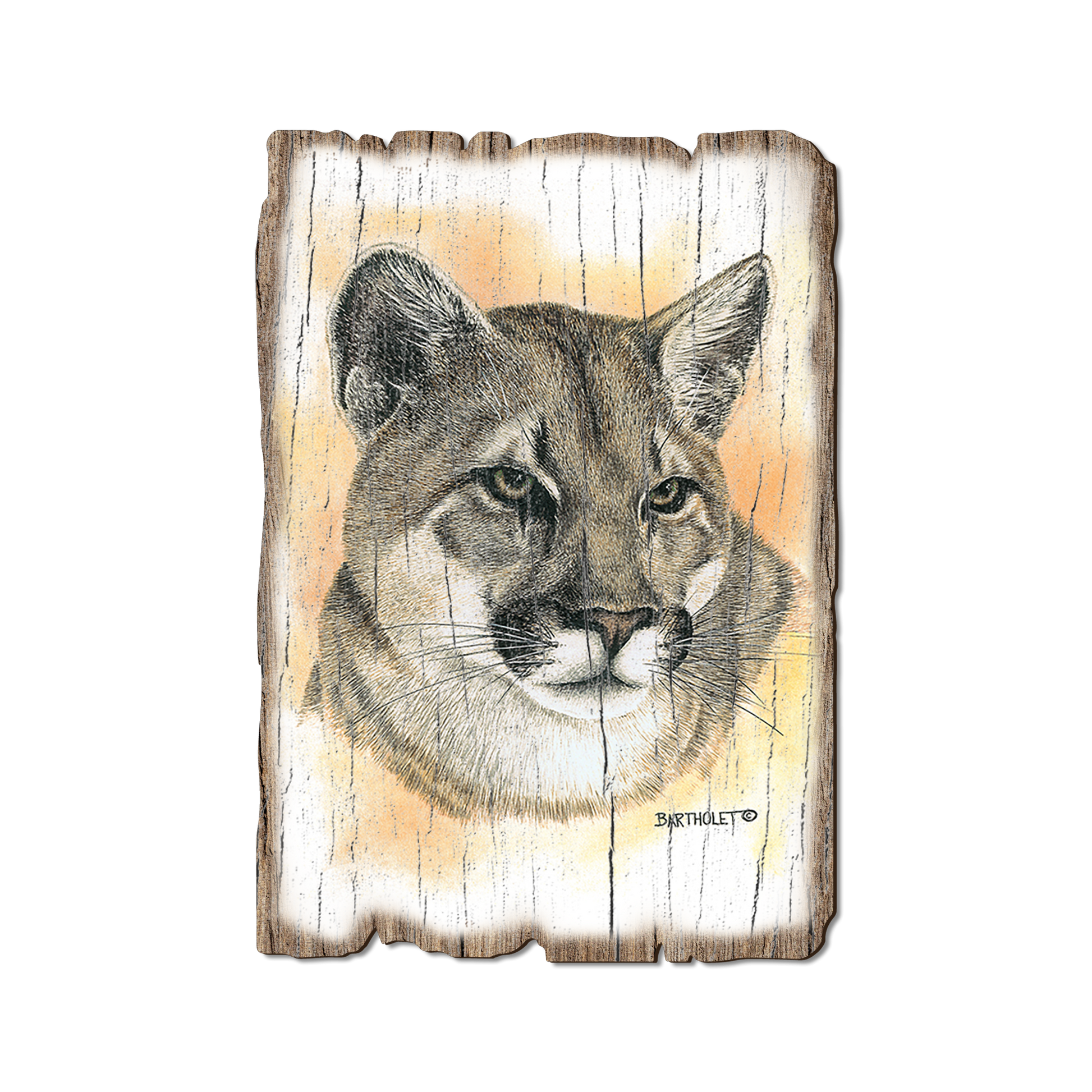 Ornament: Weathered Edge - Bartholet's Cougar (Pack of 5)