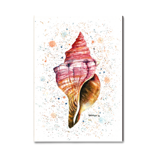 Greeting Card: Classic Edge - Bartholet's Colorful Seashell