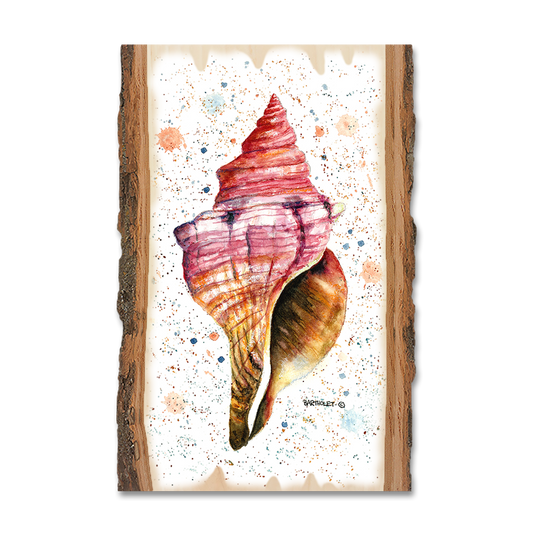 Greeting Card: Live Edge - Bartholet's Colorful Seashell