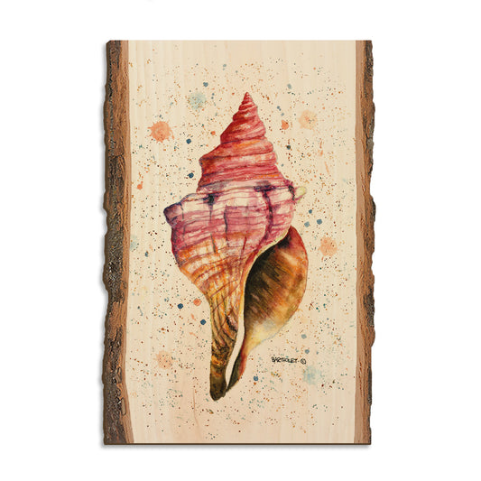 Bartholet's Colorful Seashell - Live Edge Magnet Live Edge Postcard (5pk // $2.80ea)