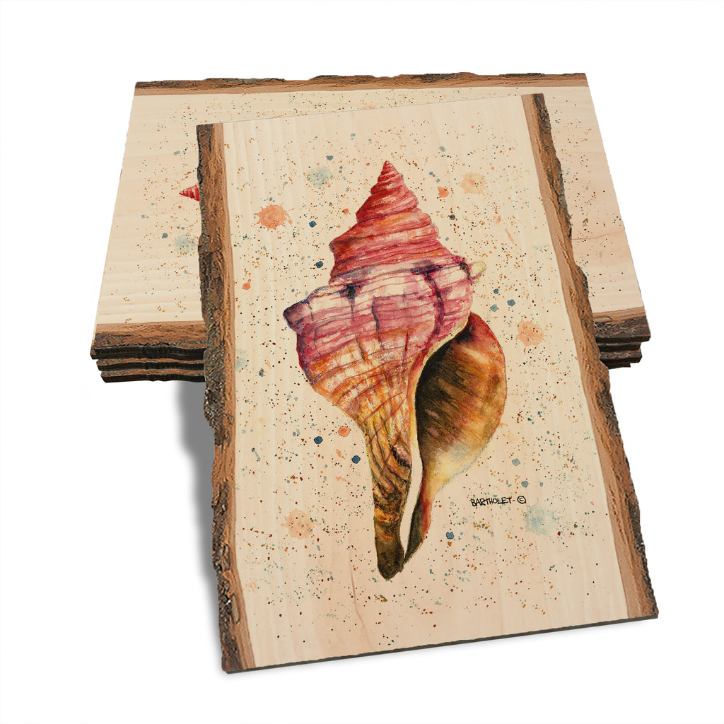 Bartholet's Colorful Seashell - Live Edge Live Edge Postcard (5pk // $2.80ea)
