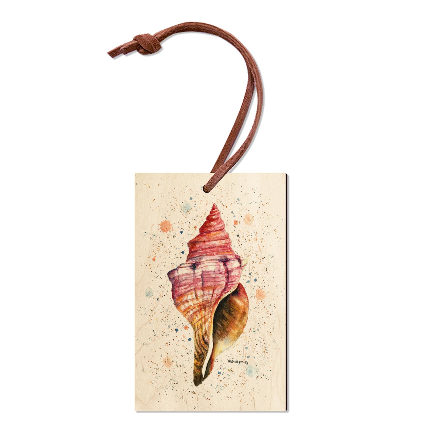Bartholet's Colorful Seashell - Magnet Classic Edge Ornament (5pk // $2.80ea)
