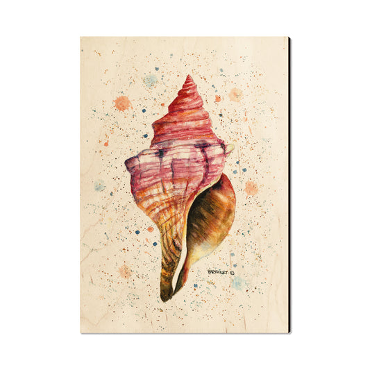 Bartholet's Colorful Seashell - Magnet Classic Edge Postcard (5pk // $2.80ea)