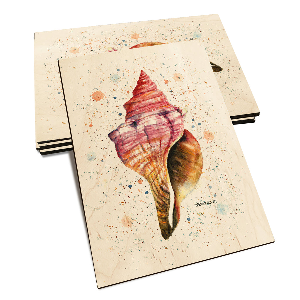 Bartholet's Colorful Seashell - Classic Edge Classic Edge Postcard (5pk // $2.80ea)