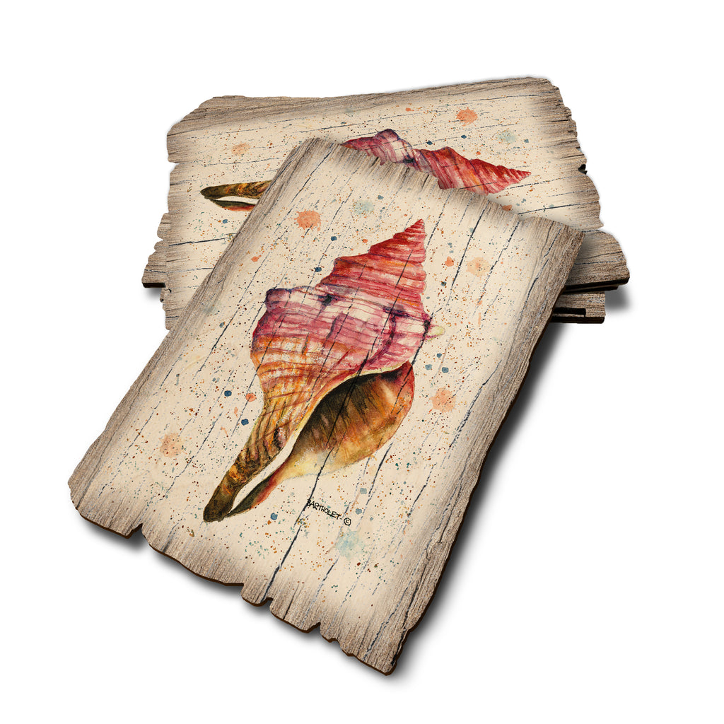 Bartholet's Colorful Seashell - Weathered Edge Weathered Edge Postcard (5pk // $2.80ea)