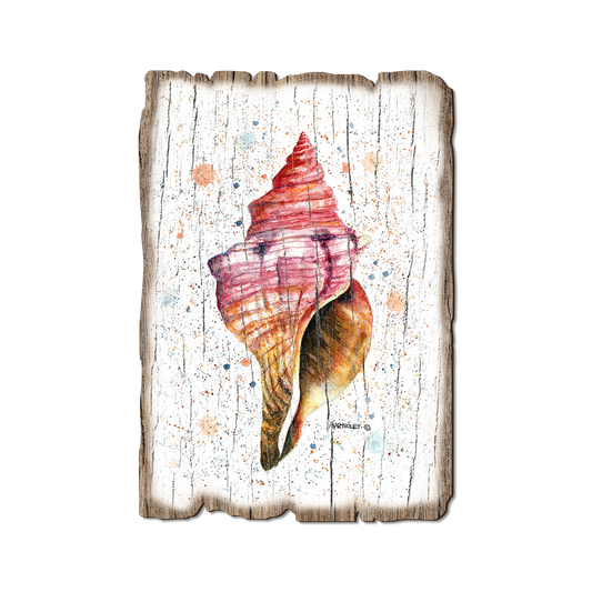 Greeting Card: Weathered Edge - Bartholet's Colorful Seashell (Pack of 5)
