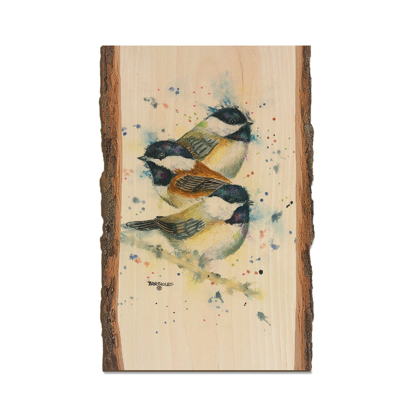 Bartholet's Chickadee Trio  - Live Edge Live Edge Magnet (5pk // $2.80ea)
