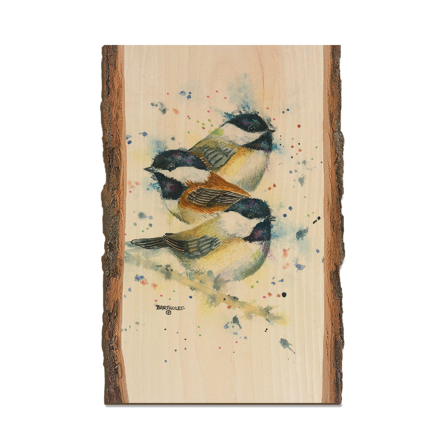 Bartholet's Chickadee Trio  - Live Edge Live Edge Postcard (5pk // $2.80ea)