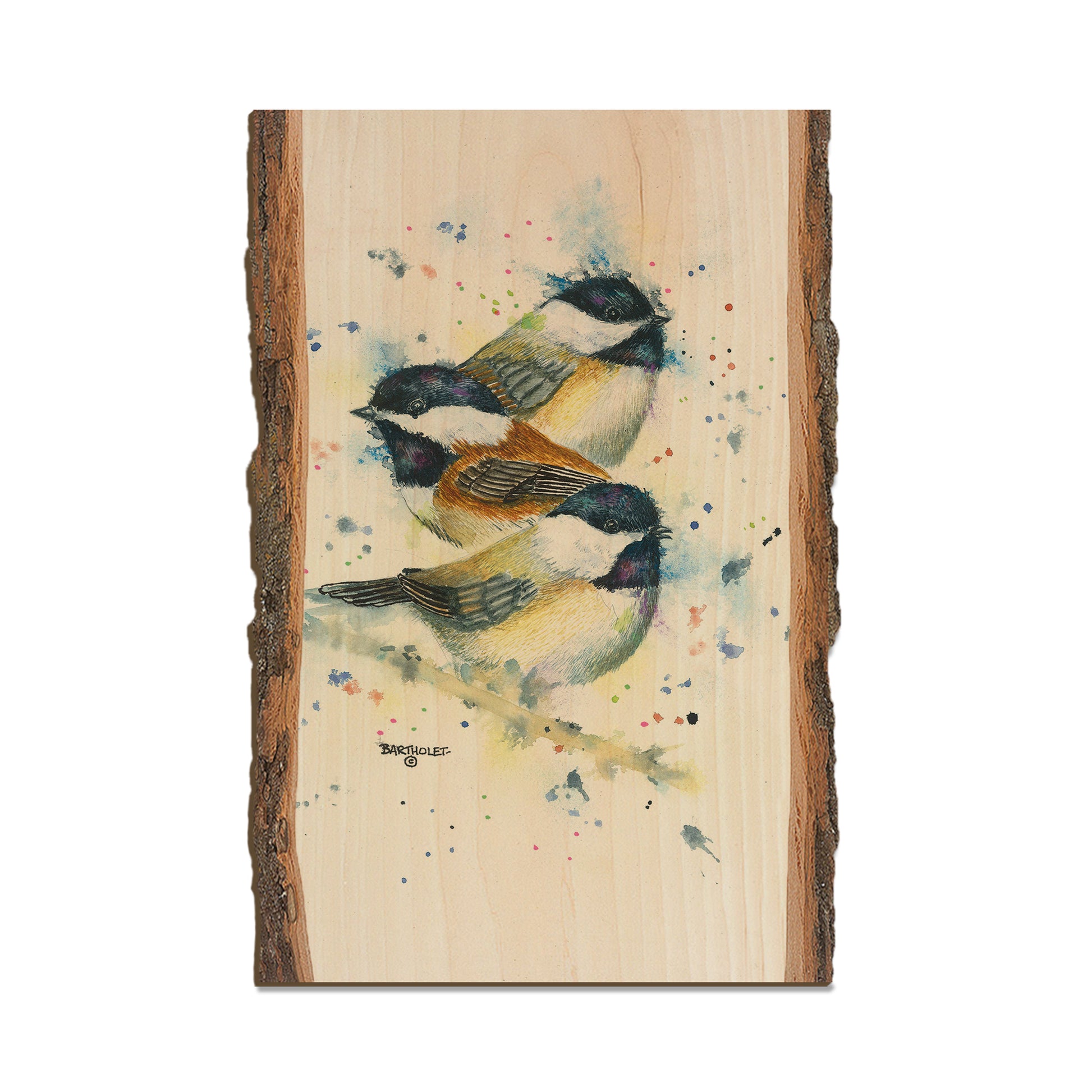 Bartholet's Chickadee Trio  - Live Edge Live Edge Postcard (5pk // $2.80ea)