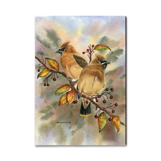 Greeting Card: Classic Edge - Bartholet's Cedar Waxwings