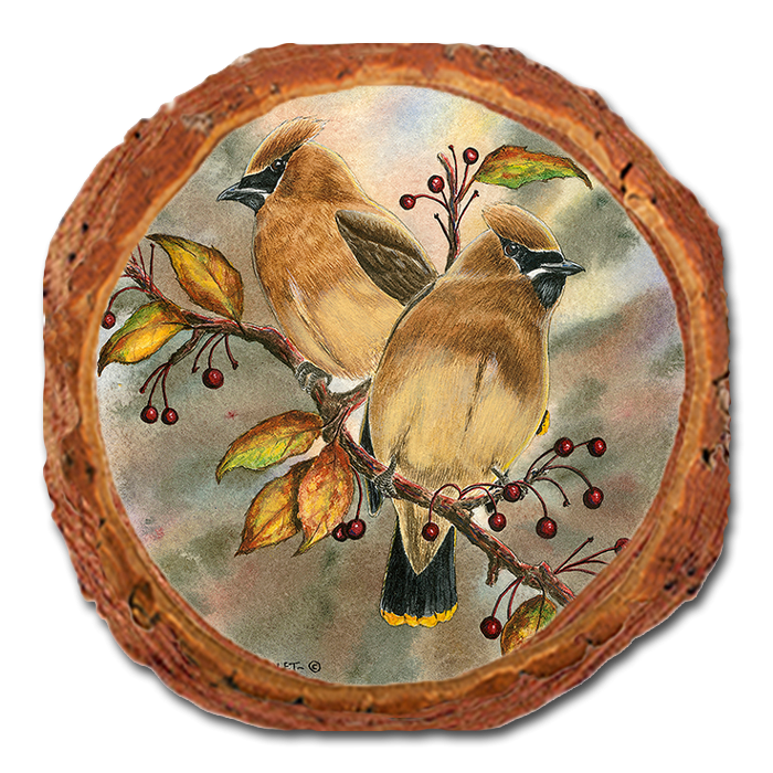 Coaster: Live Edge - Bartholet's Cedar Waxwings (Pack of 5)