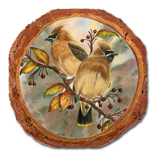 Coaster: Live Edge - Bartholet's Cedar Waxwings (Pack of 5)