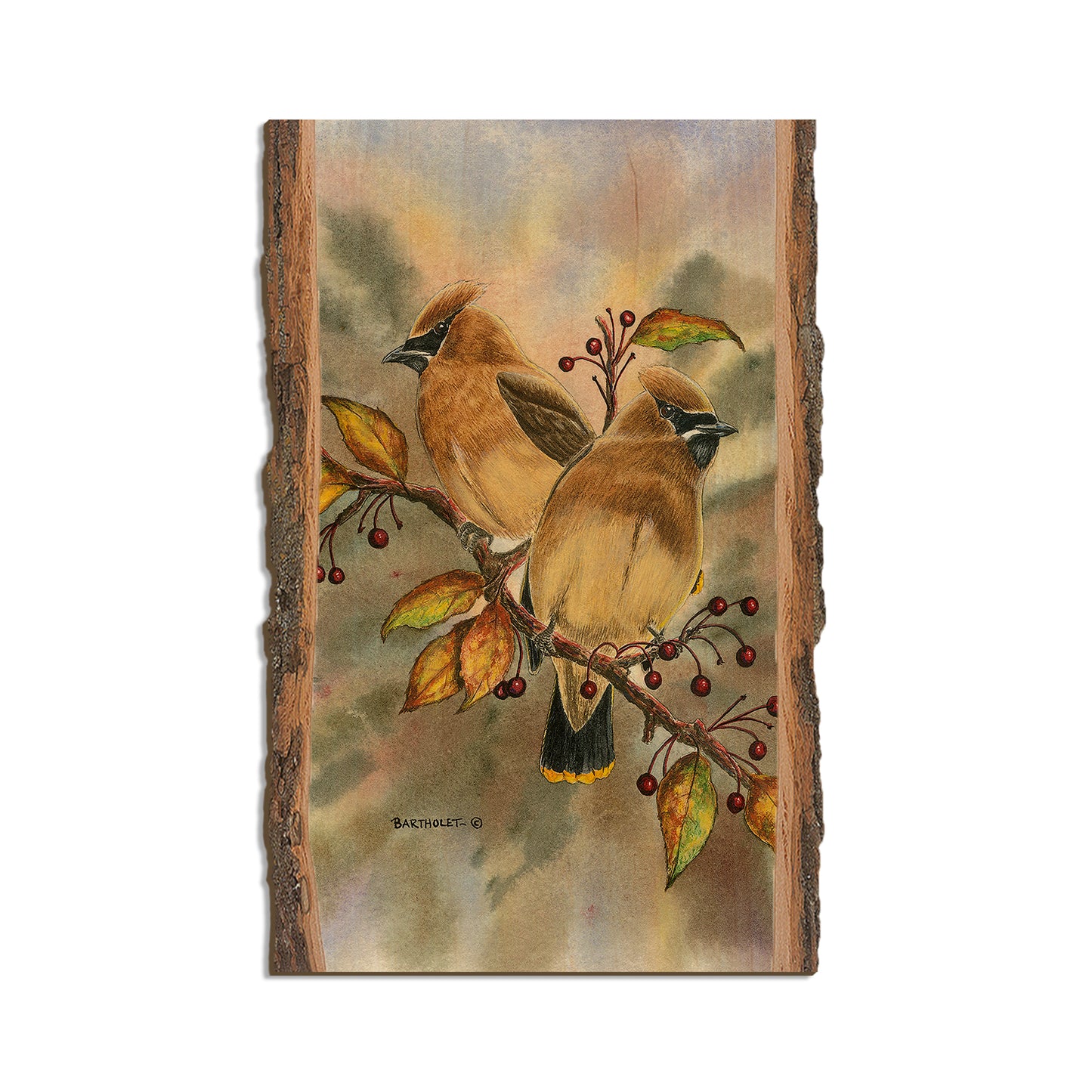 Bartholet's Cedar Waxwings  - Live Edge Live Edge Magnet (5pk // $2.80ea)