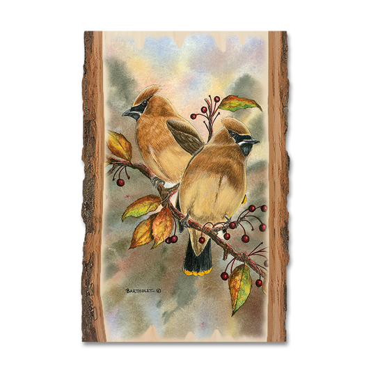 Magnet: Live Edge - Bartholet's Cedar Waxwings