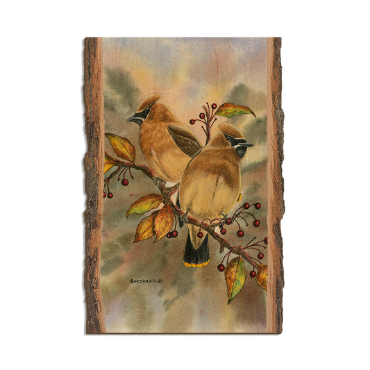 Bartholet's Cedar Waxwings  - Live Edge Live Edge Postcard (5pk // $2.80ea)