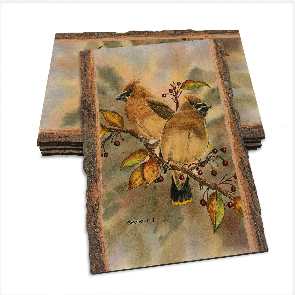 Bartholet's Cedar Waxwings  - Live Edge Live Edge Postcard (5pk // $2.80ea)