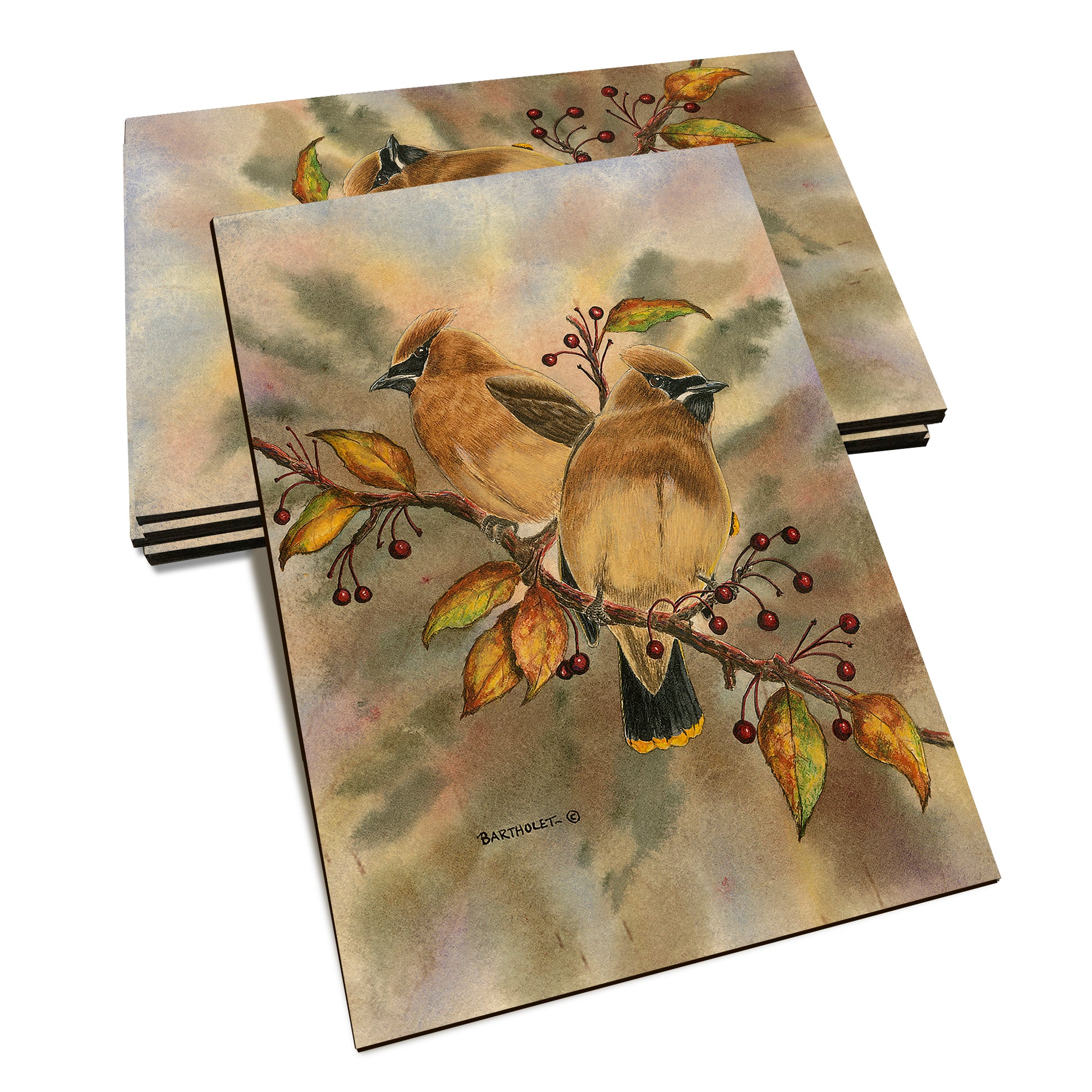 Bartholet's Cedar Waxwings  - Classic Edge Classic Edge Postcard (5pk // $2.80ea)