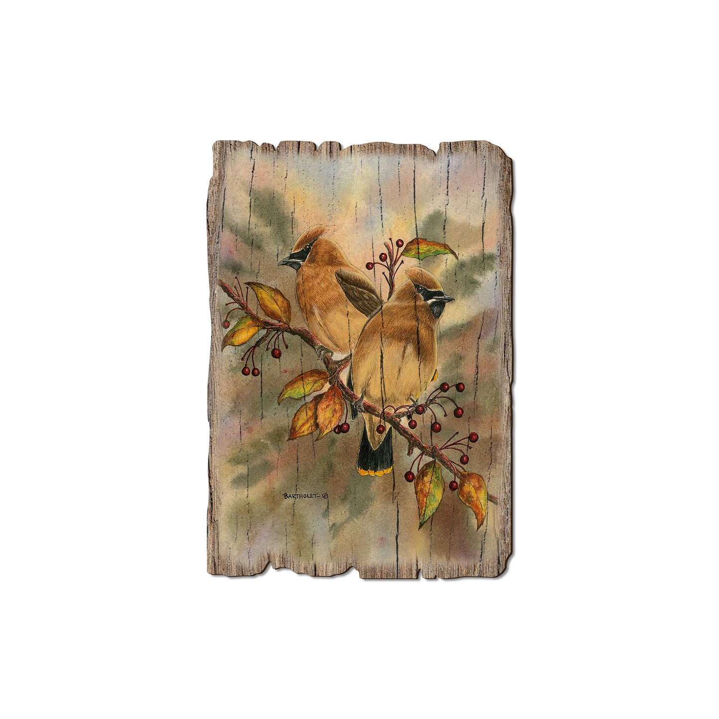 Bartholet's Cedar Waxwings - Rustic Edge Postcards & Magnets Rustic Edge Magnet (5pk // $2.80ea)