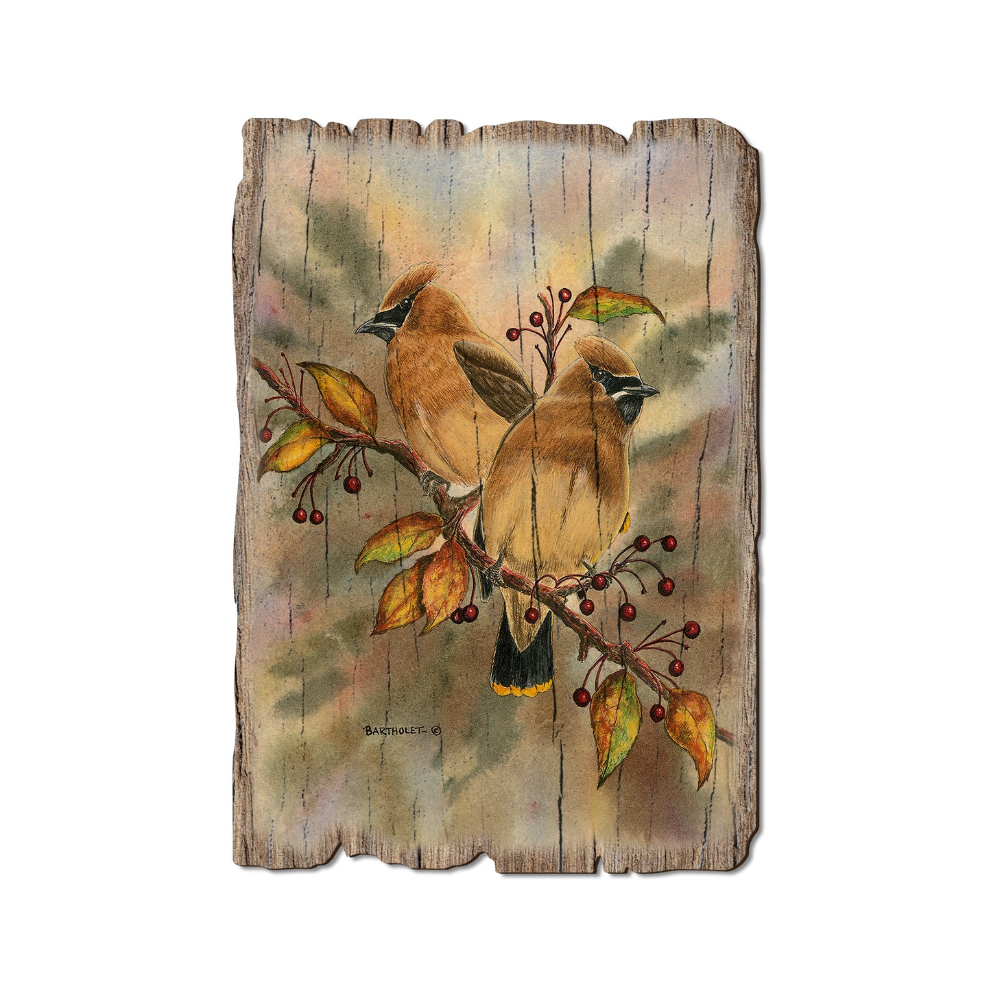 Bartholet's Cedar Waxwings - Rustic Edge Postcards & Magnets Rustic Edge Postcard (5pk // $2.80ea)