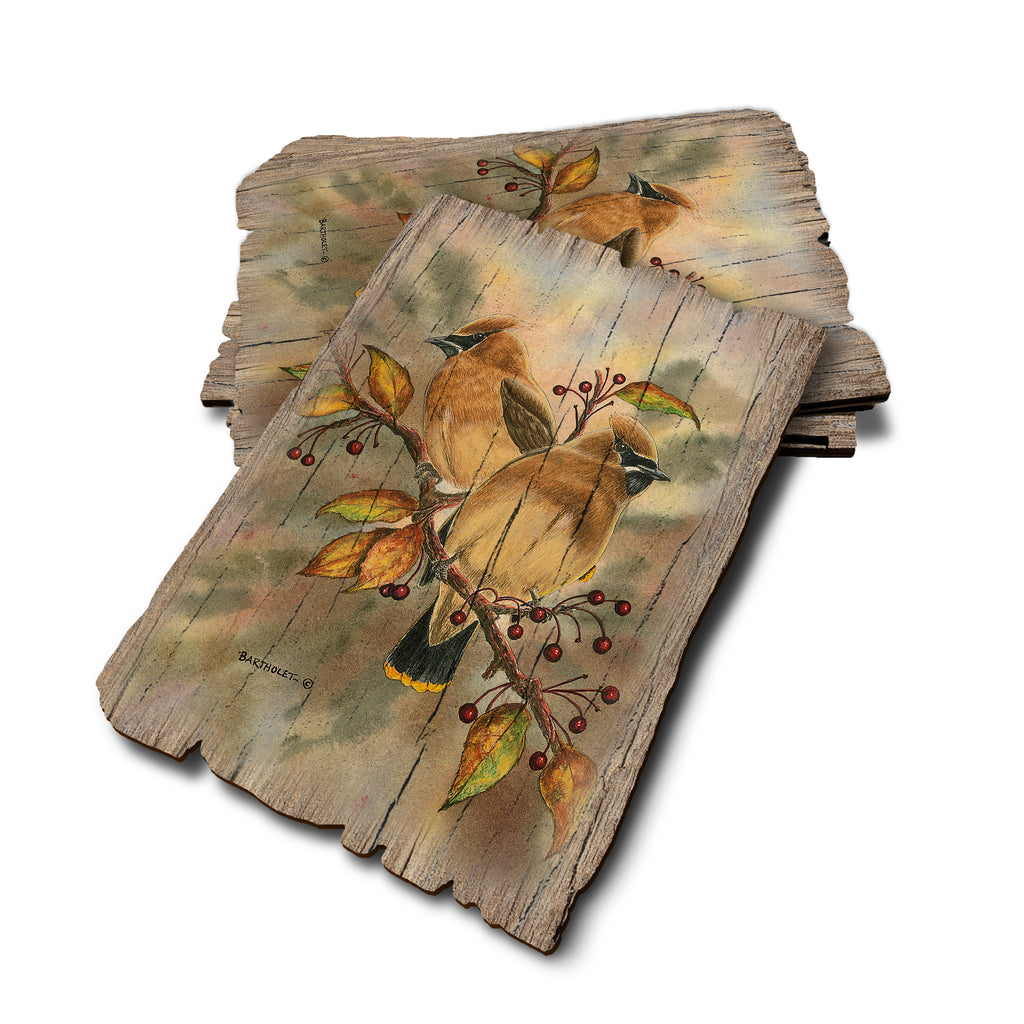 Bartholet's Cedar Waxwings - Weathered Edge Rustic Edge Postcard (5pk // $2.80ea)