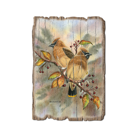 Greeting Card: Weathered Edge - Bartholet's Cedar Waxwings