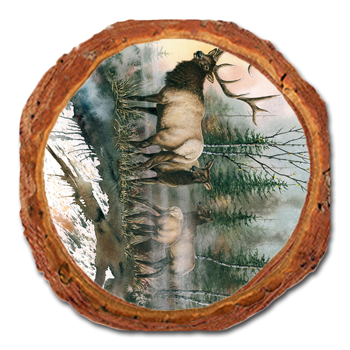 Coaster: Live Edge - Bartholet's Daybreak (Pack of 5)