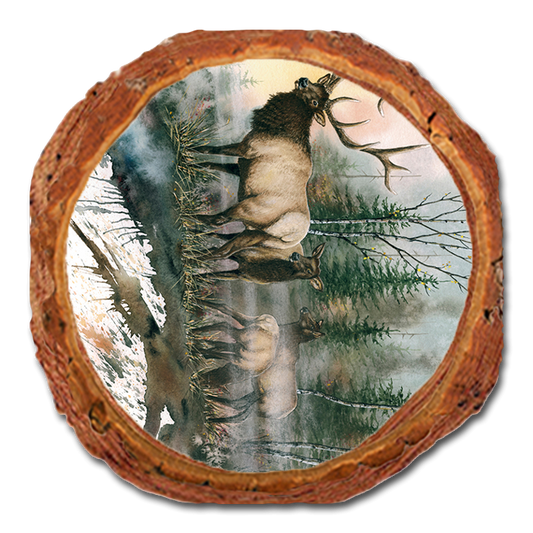 Coaster: Live Edge - Bartholet's Daybreak (Pack of 5)