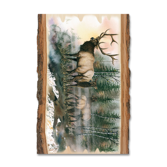 Magnet: Live Edge - Bartholet's Daybreak