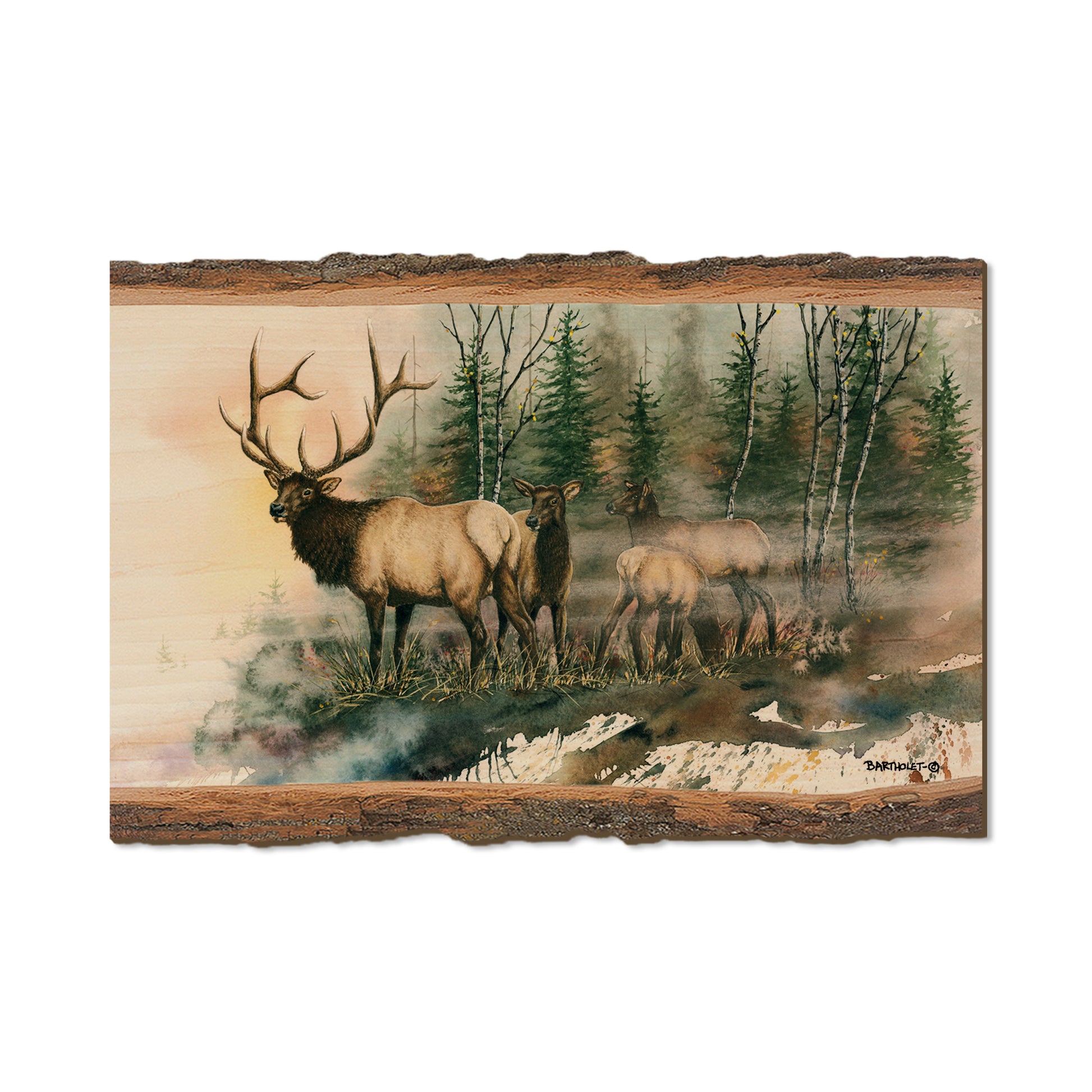 Bartholet's Daybreak  - Live Edge Live Edge Postcard (5pk // $2.80ea)