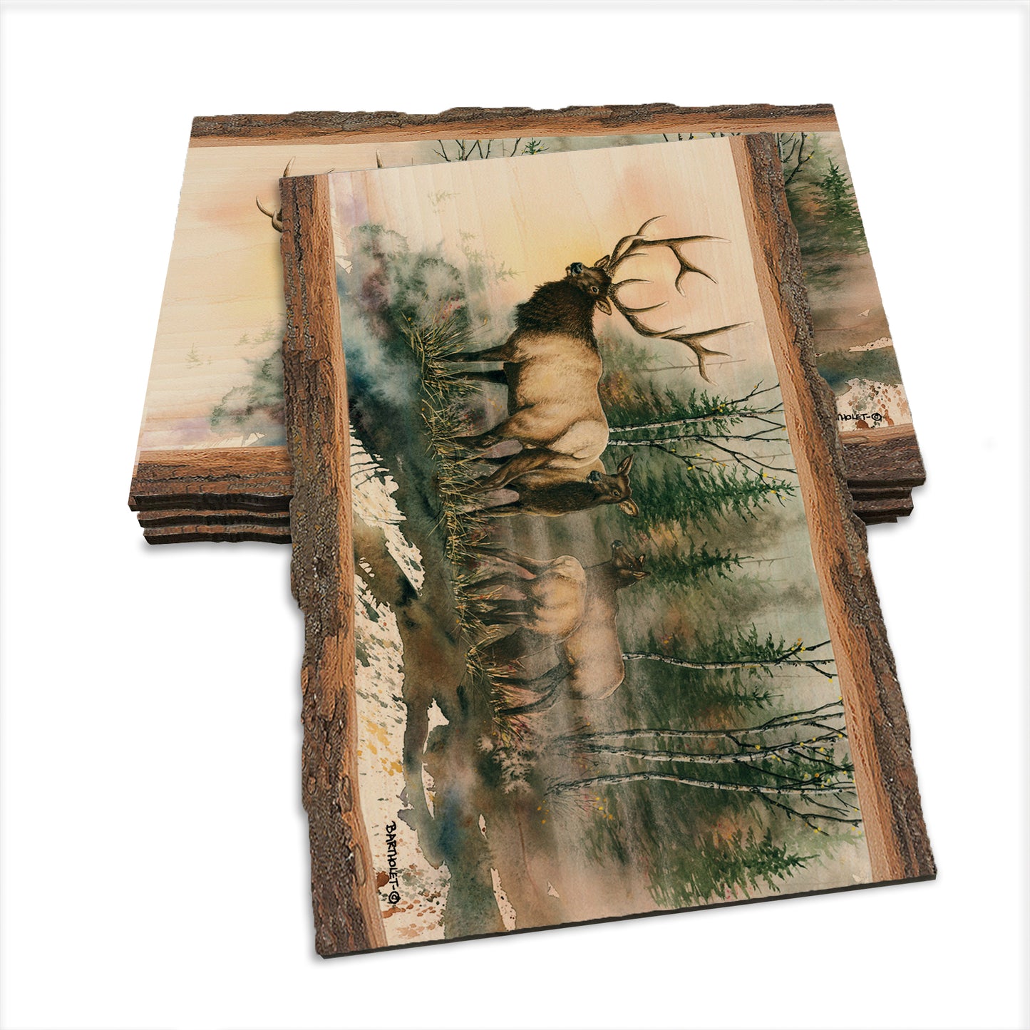 Bartholet's Daybreak  - Live Edge Live Edge Postcard (5pk // $2.80ea)