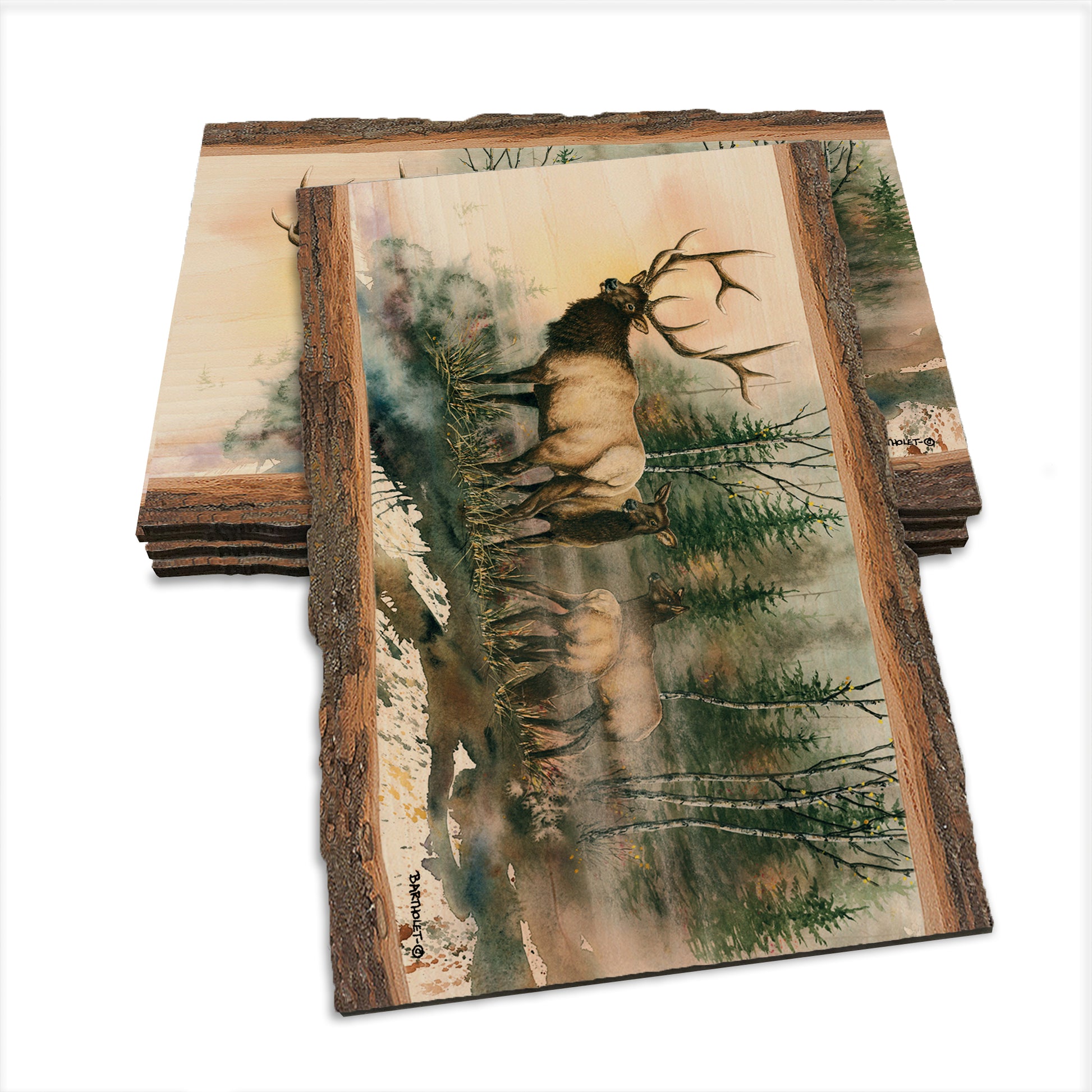 Bartholet's Daybreak  - Live Edge Live Edge Postcard (5pk // $2.80ea)