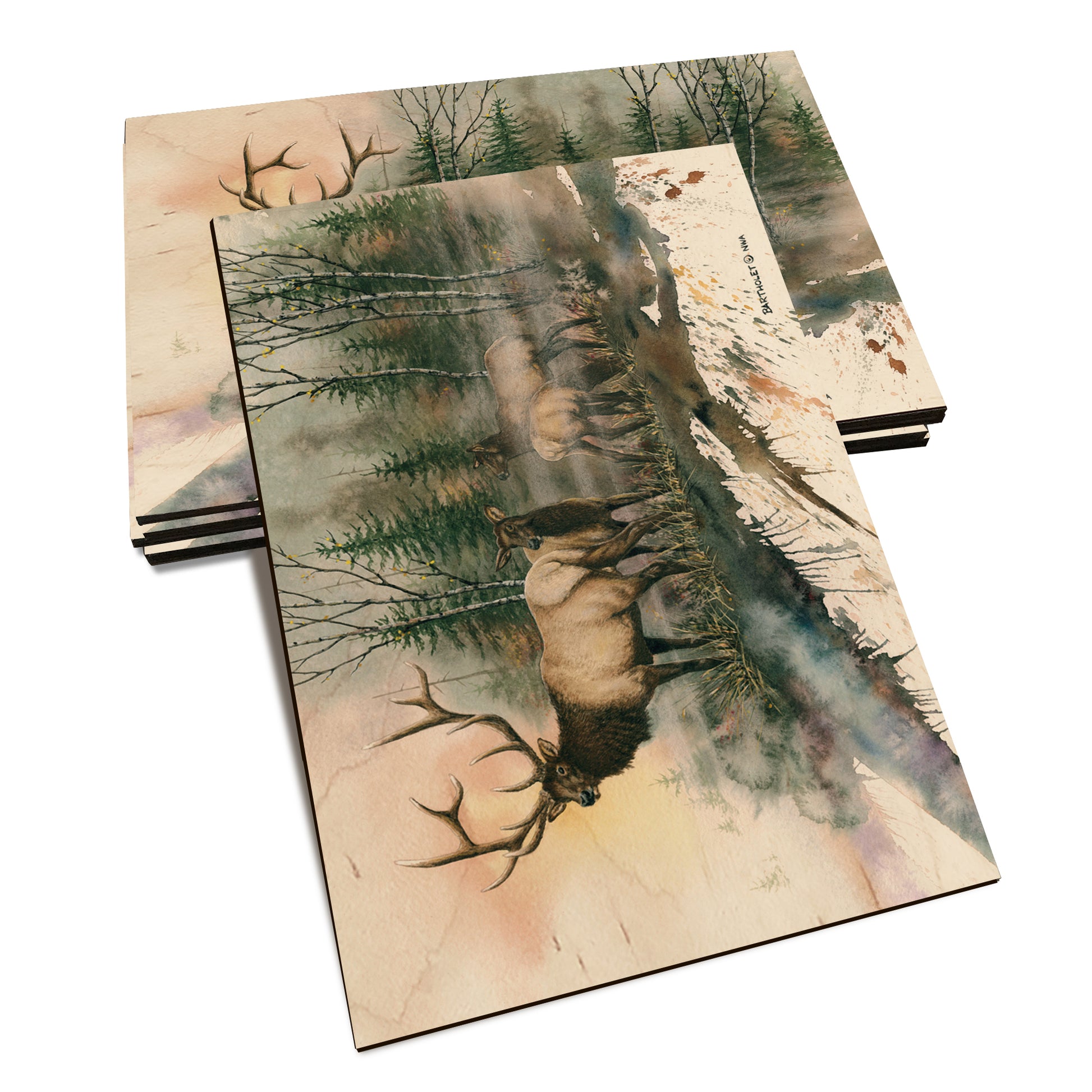 Bartholet's Daybreak  - Classic Edge Classic Edge Postcard (5pk // $2.80ea)