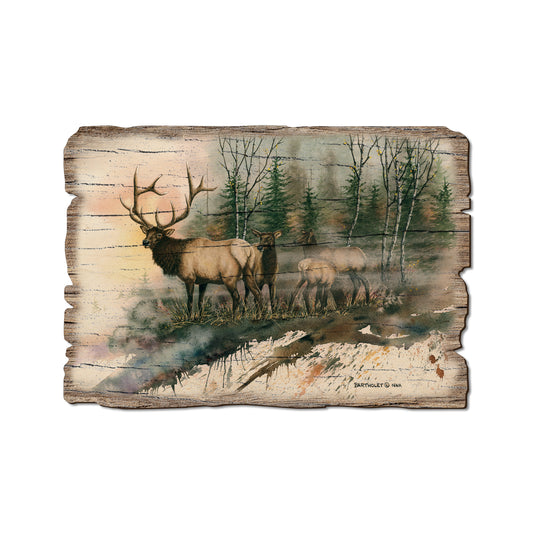 Bartholet's Daybreak - Rustic Edge Postcards & Magnets Rustic Edge Postcard (5pk // $2.80ea)