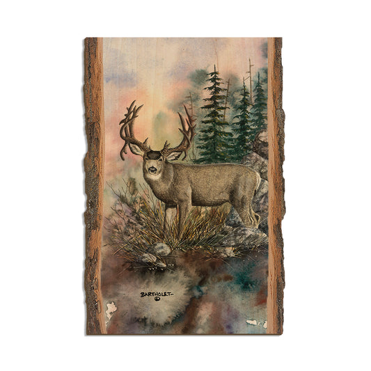 Bartholet's Double Drop  - Live Edge Live Edge Postcard (5pk // $2.80ea)