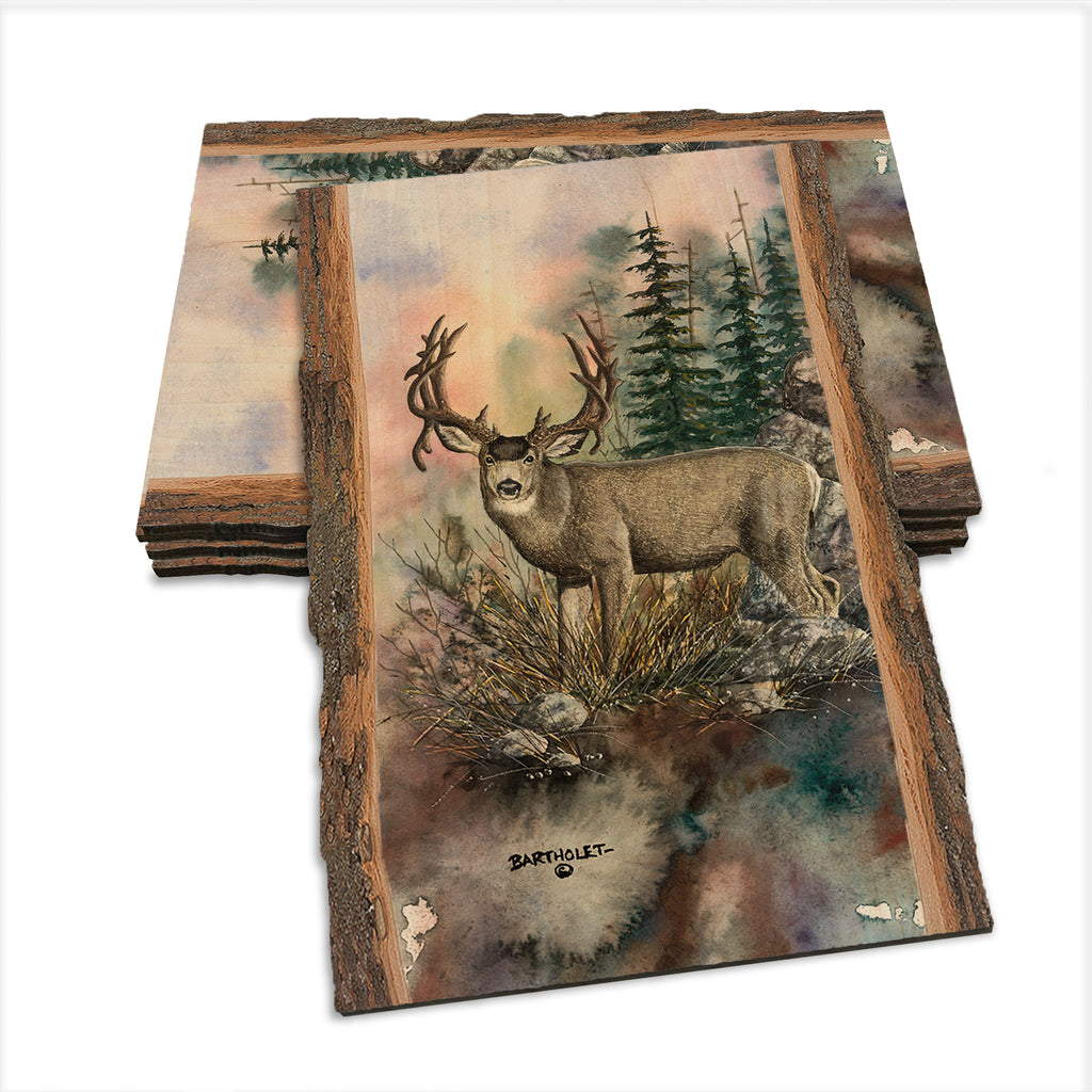 Bartholet's Double Drop  - Live Edge Live Edge Postcard (5pk // $2.80ea)